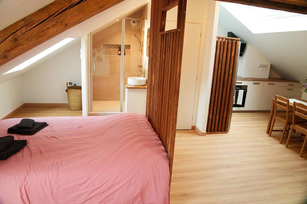 Appartement De Charme A Нанси Экстерьер фото